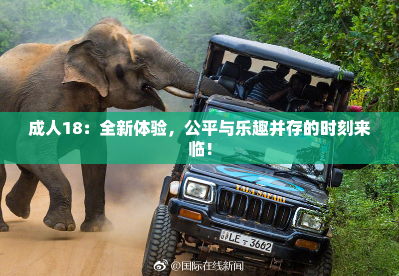 成人18：全新体验，公平与乐趣并存的时刻来临！