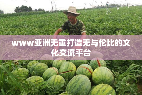 www亚洲无重打造无与伦比的文化交流平台
