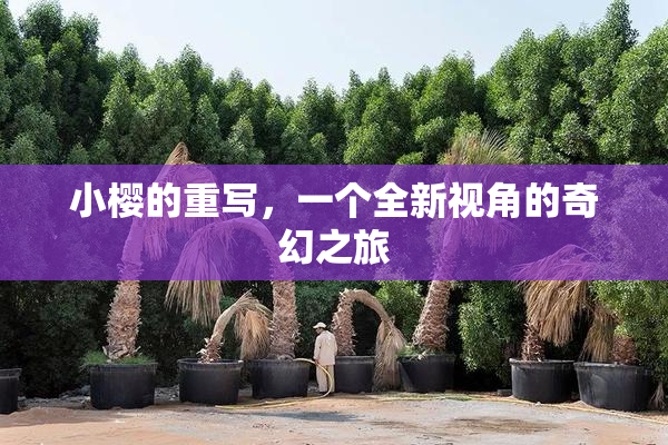 小樱的重写，一个全新视角的奇幻之旅