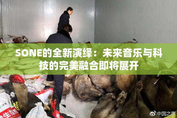 SONE的全新演绎：未来音乐与科技的完美融合即将展开