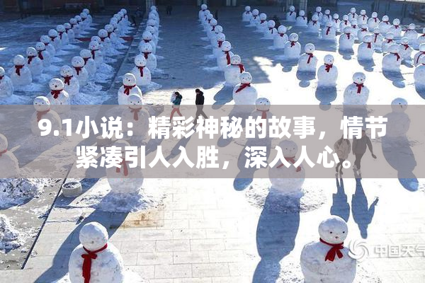 9.1小说：精彩神秘的故事，情节紧凑引人入胜，深入人心。