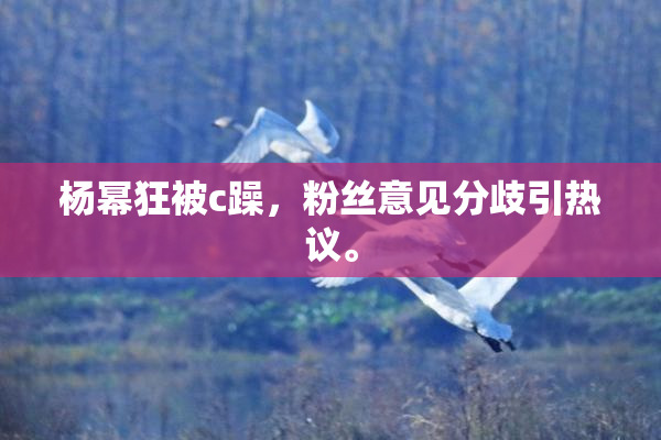 杨幂狂被c躁，粉丝意见分歧引热议。