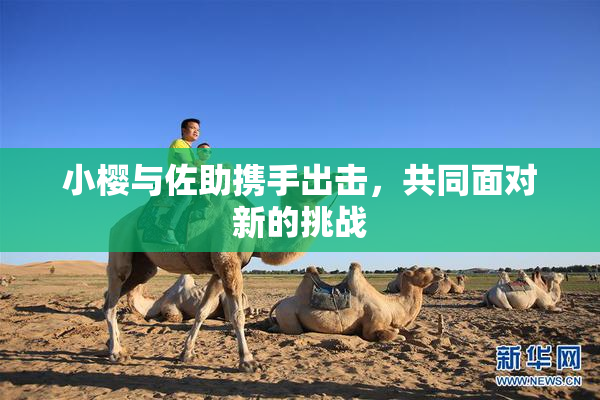 小樱与佐助携手出击，共同面对新的挑战