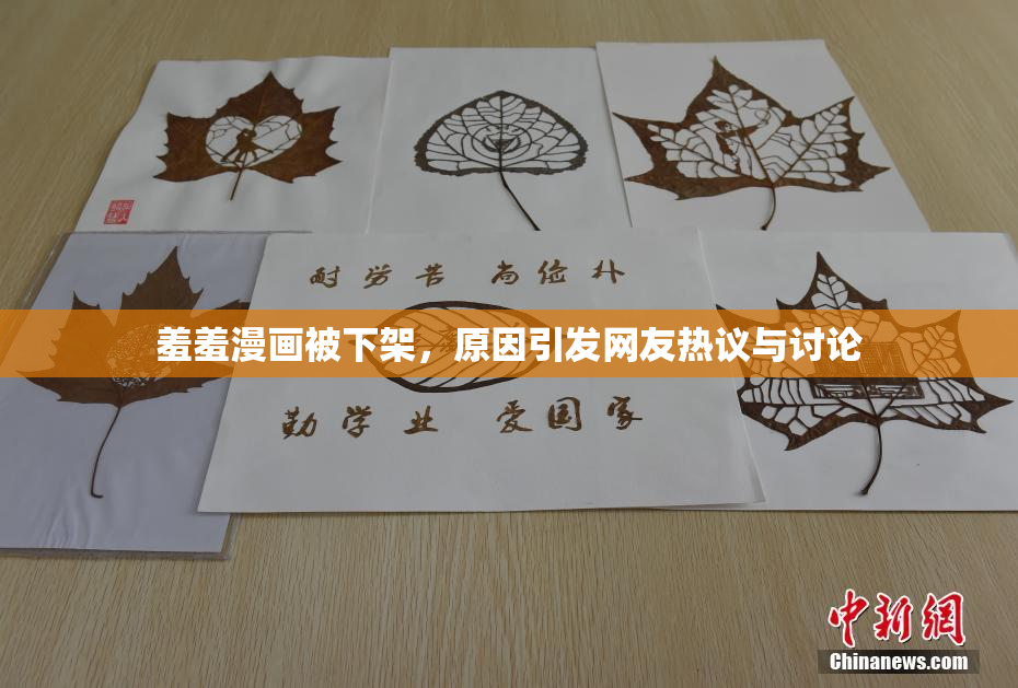 羞羞漫画被下架，原因引发网友热议与讨论