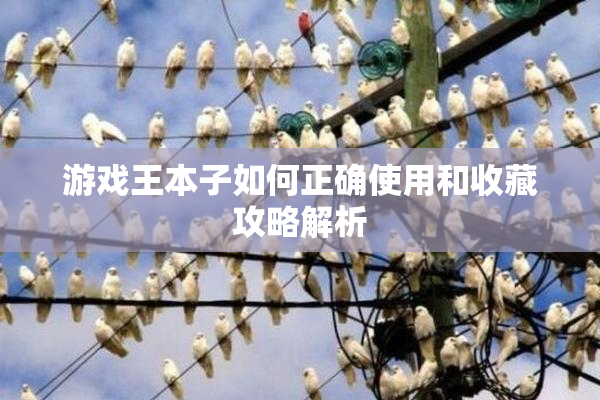 游戏王本子如何正确使用和收藏攻略解析