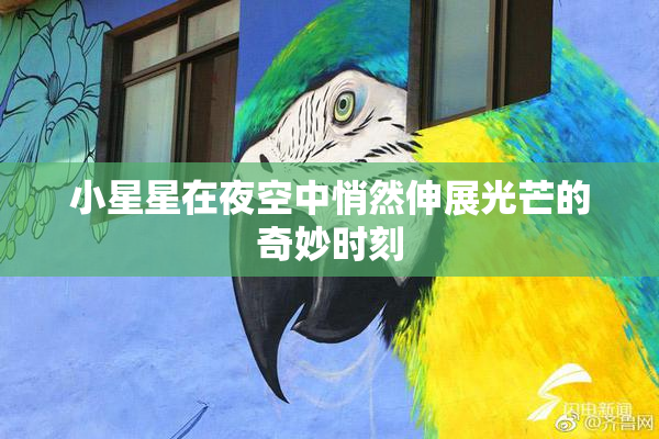 小星星在夜空中悄然伸展光芒的奇妙时刻