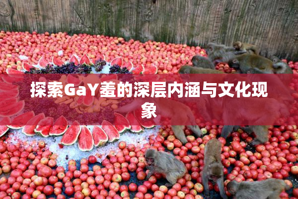 探索GaY羞的深层内涵与文化现象