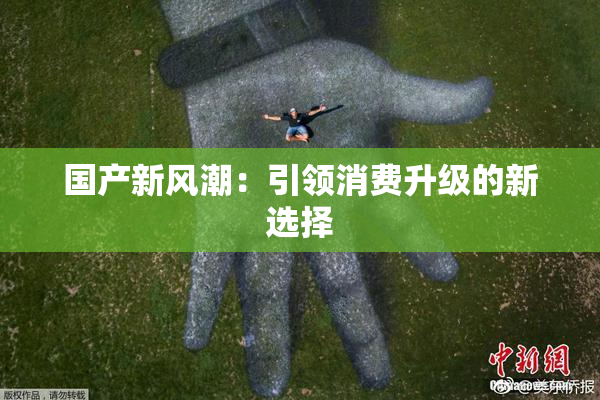 国产新风潮：引领消费升级的新选择