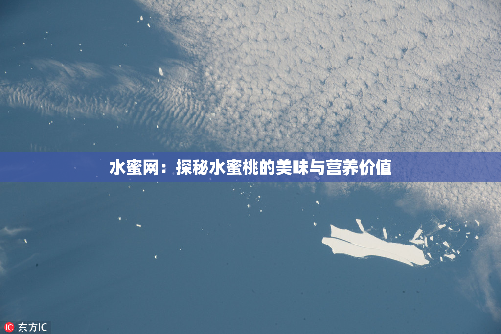 水蜜网：探秘水蜜桃的美味与营养价值