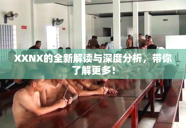 XXNX的全新解读与深度分析，带你了解更多！