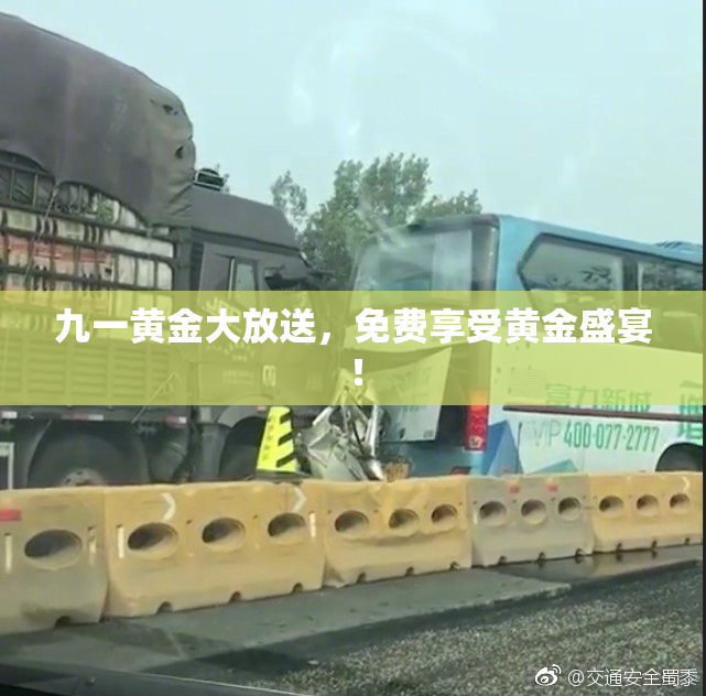 九一黄金大放送，免费享受黄金盛宴！