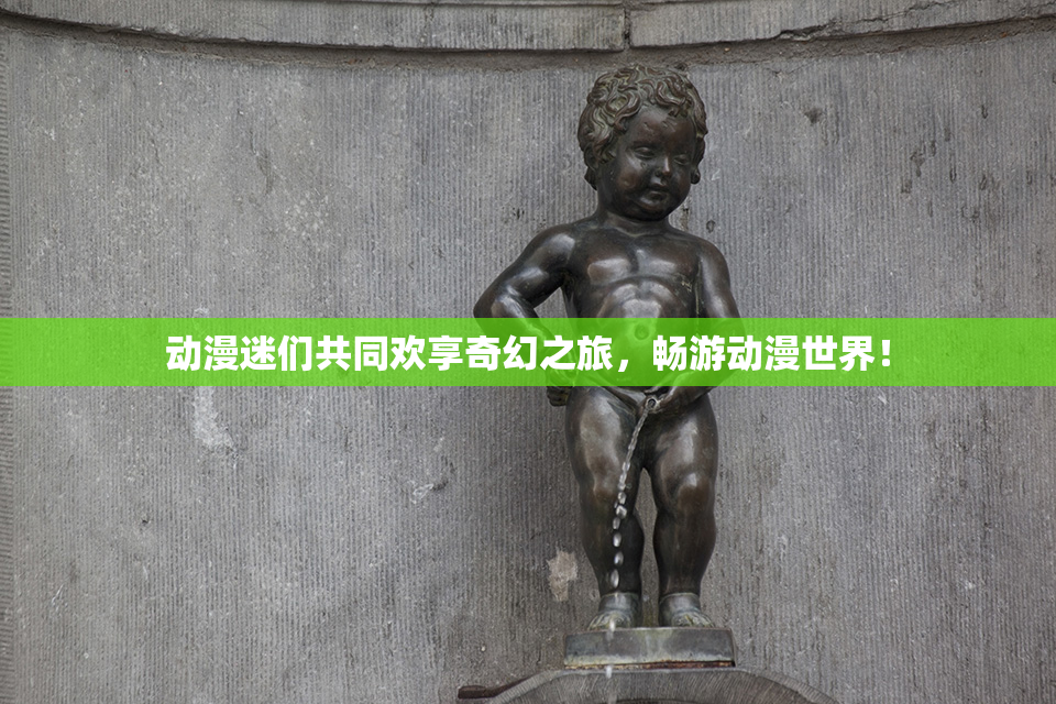 动漫迷们共同欢享奇幻之旅，畅游动漫世界！