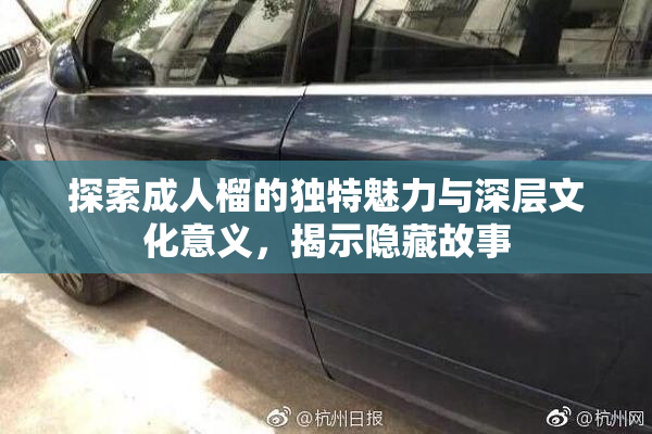 探索成人榴的独特魅力与深层文化意义，揭示隐藏故事