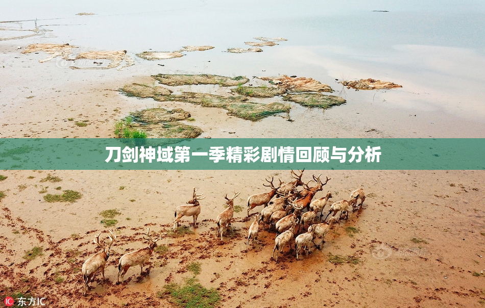 刀剑神域第一季精彩剧情回顾与分析