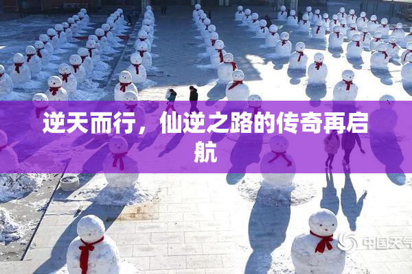逆天而行，仙逆之路的传奇再启航