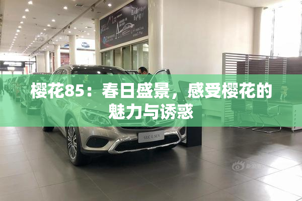 樱花85：春日盛景，感受樱花的魅力与诱惑