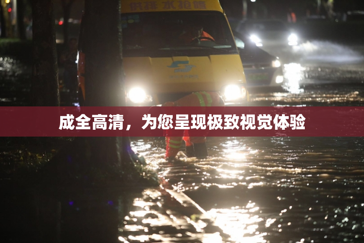 成全高清，为您呈现极致视觉体验