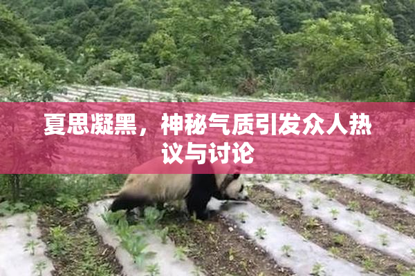 夏思凝黑，神秘气质引发众人热议与讨论