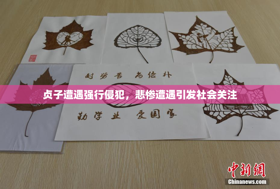 贞子遭遇强行侵犯，悲惨遭遇引发社会关注