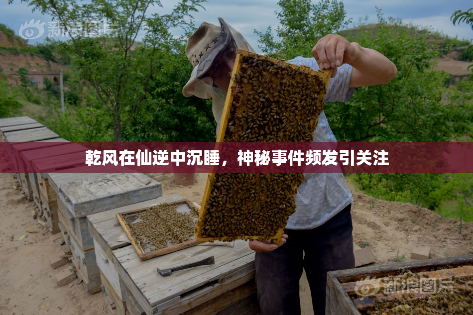 乾风在仙逆中沉睡，神秘事件频发引关注