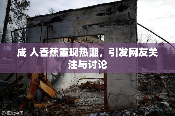 成 人香蕉重现热潮，引发网友关注与讨论