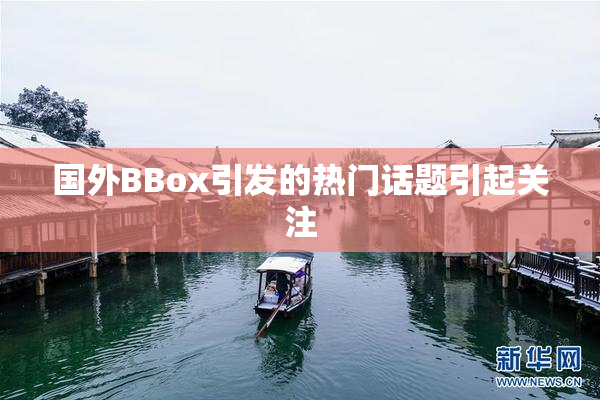 国外BBox引发的热门话题引起关注