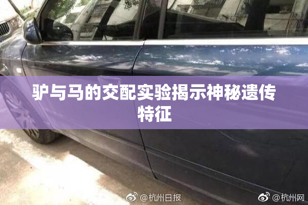 驴与马的交配实验揭示神秘遗传特征