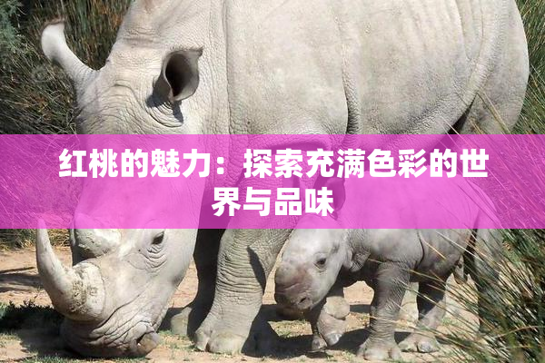 红桃的魅力：探索充满色彩的世界与品味