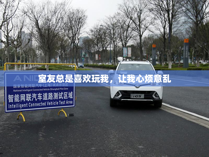 室友总是喜欢玩我，让我心烦意乱