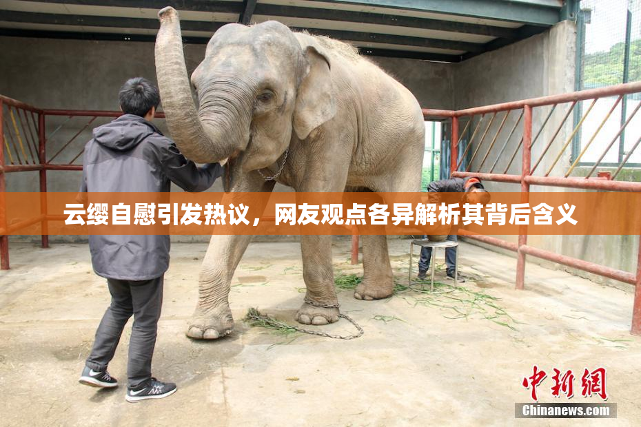 云缨自慰引发热议，网友观点各异解析其背后含义