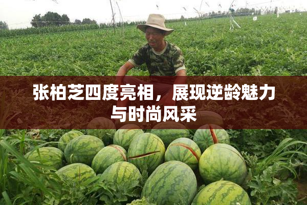张柏芝四度亮相，展现逆龄魅力与时尚风采