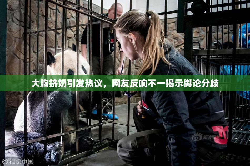 大胸挤奶引发热议，网友反响不一揭示舆论分歧