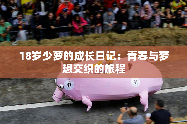 18岁少萝的成长日记：青春与梦想交织的旅程