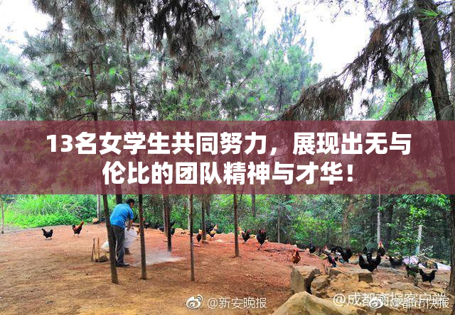 13名女学生共同努力，展现出无与伦比的团队精神与才华！