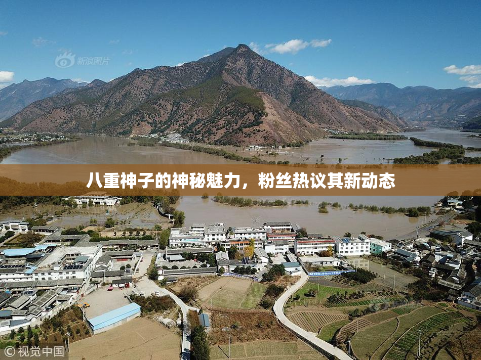 八重神子的神秘魅力，粉丝热议其新动态