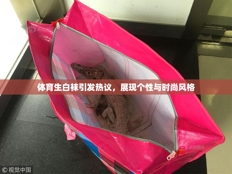 体育生白袜引发热议，展现个性与时尚风格