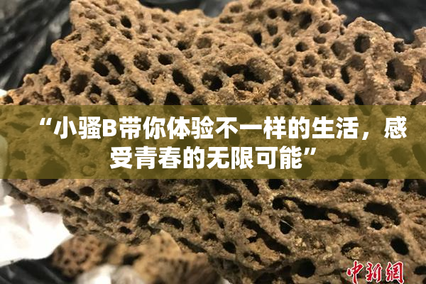 “小骚B带你体验不一样的生活，感受青春的无限可能”