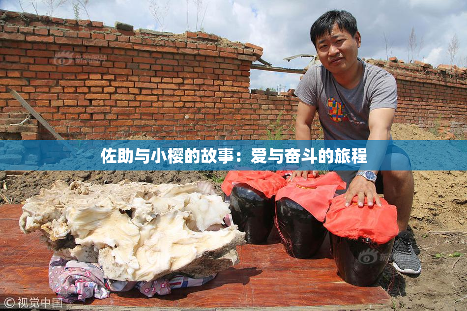 佐助与小樱的故事：爱与奋斗的旅程