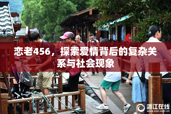 恋老456，探索爱情背后的复杂关系与社会现象