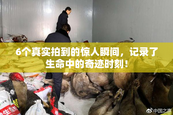 6个真实拍到的惊人瞬间，记录了生命中的奇迹时刻！