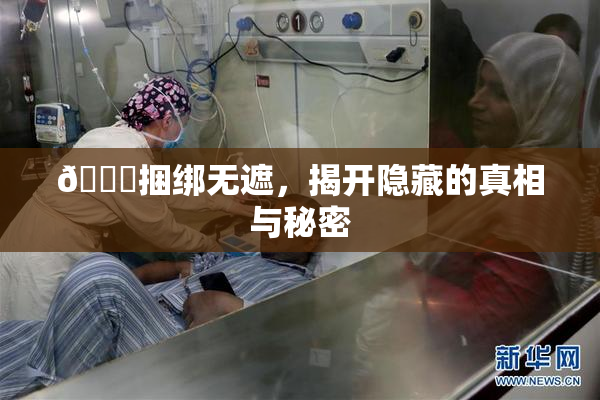🔞捆绑无遮，揭开隐藏的真相与秘密