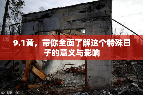 9.1黄，带你全面了解这个特殊日子的意义与影响