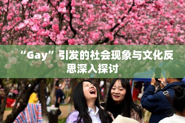 “Gay”引发的社会现象与文化反思深入探讨