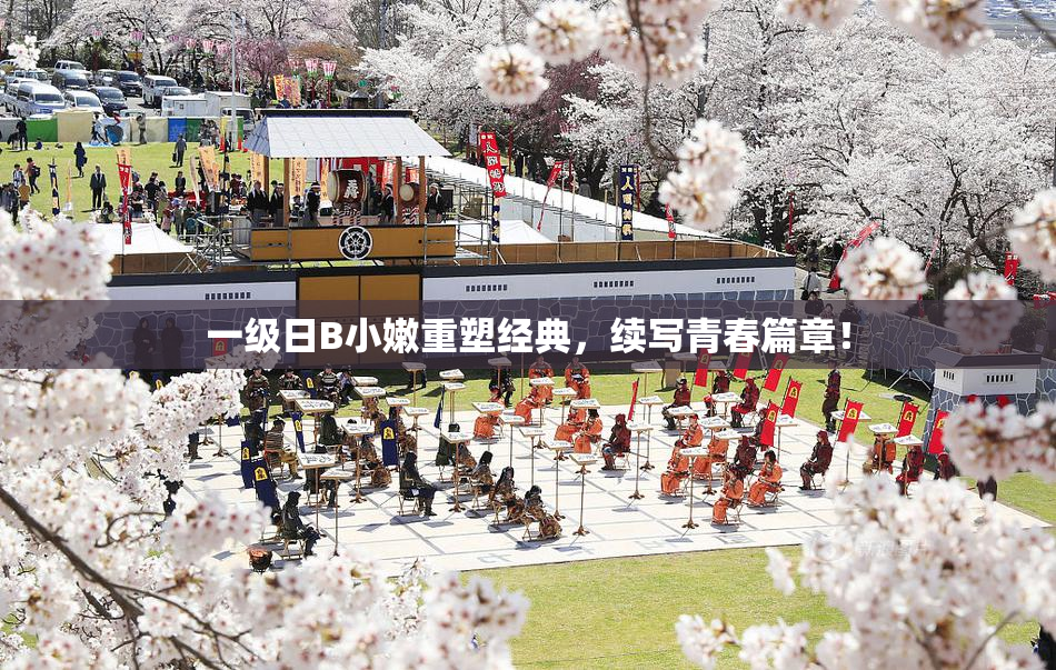 一级日B小嫩重塑经典，续写青春篇章！