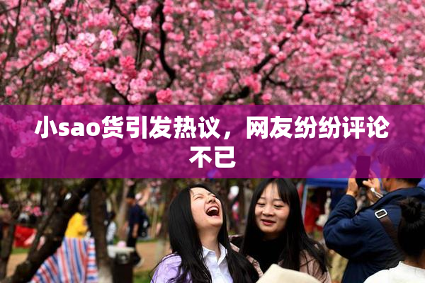 小sao货引发热议，网友纷纷评论不已