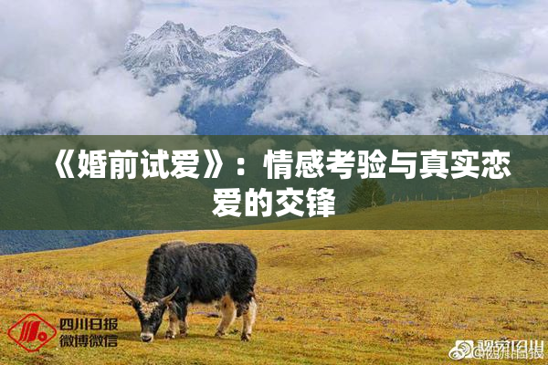 《婚前试爱》：情感考验与真实恋爱的交锋