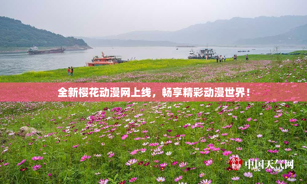 全新樱花动漫网上线，畅享精彩动漫世界！