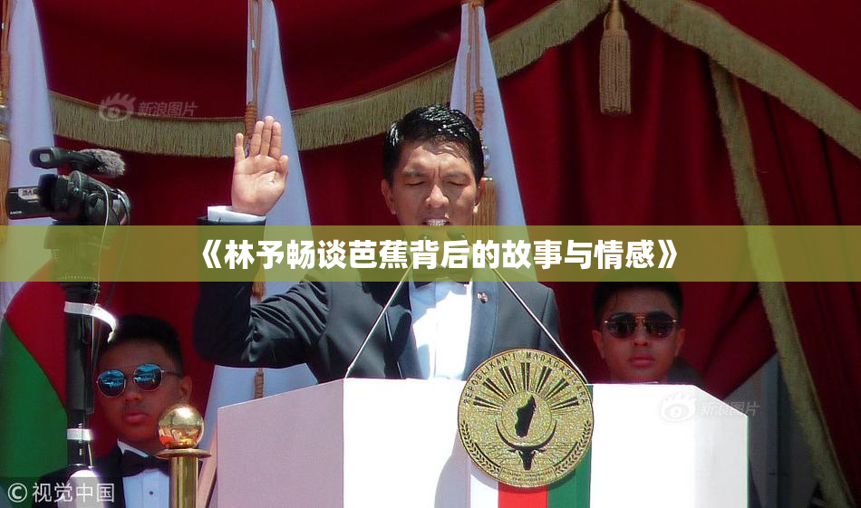 《林予畅谈芭蕉背后的故事与情感》