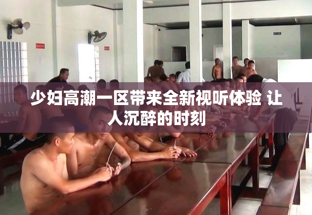 少妇高潮一区带来全新视听体验 让人沉醉的时刻