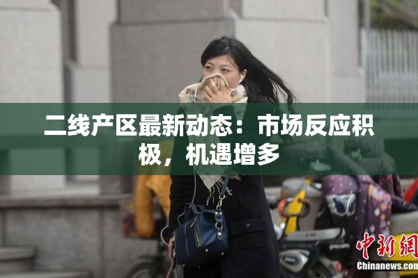 二线产区最新动态：市场反应积极，机遇增多